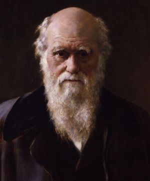 Charles Darwin (Public Domain)