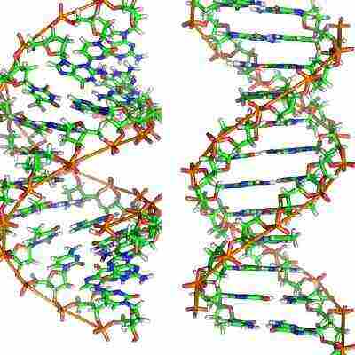 Illustration of DNA chains.