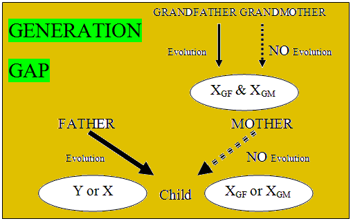 Esquema del experimento Darwinotro con evolución de cromosomas de los abuelos maternos para saber origen del x.