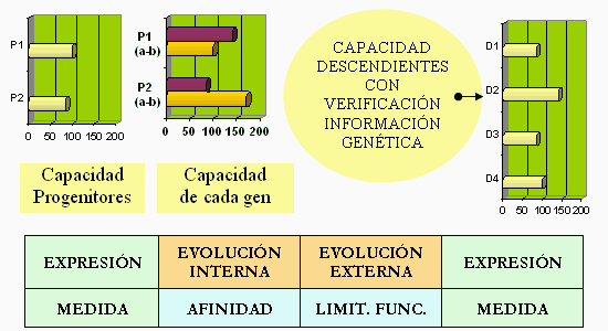 Evolución con el método LoVeInf y expresión genética con combinación Mendeliana.
