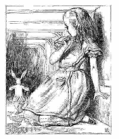 Alice e il coniglio nel paese delle meraviglie in bianco e nero.