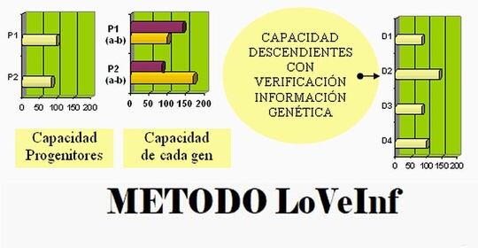 Esquema da evolução da inteligência com a genética Mendeliana e o método de Verificação Lógica da Informação (LoVeInf)