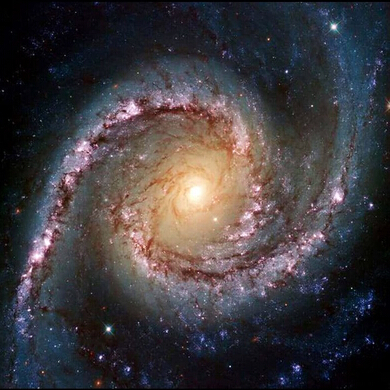 Bella galassia a 40 milioni di anni luce di distanza nella costellazione di Dorado.