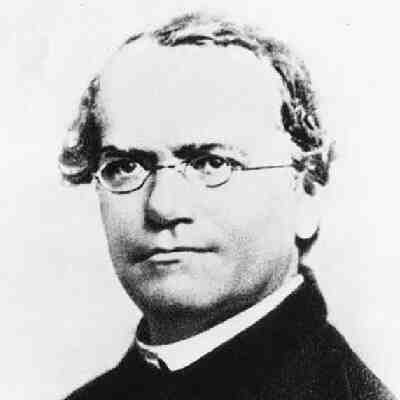 Gregor Mendel (Public domain)